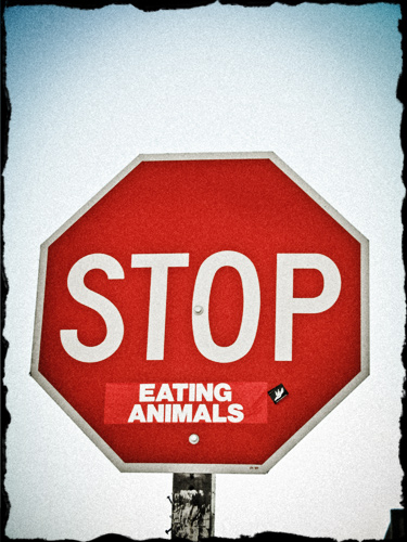 Stop Eating Animals