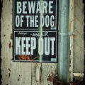 Beware of Dog and Keep Out sign with graffiti on it.