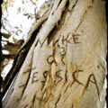 Names carved in tree trunk: Mike + Jessica