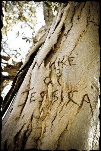 Names carved in tree trunk: Mike + Jessica