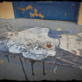 Graphic of skull wearing a hat on the cement porch behind a business.